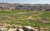 ジェラシュ遺跡から望む街の景観