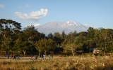 アフリカ最高峰のキリマンジャロ