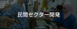 民間セクター開発