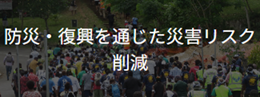 防災・復興を通じた災害リスク削減