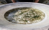 繁殖地、コンディショニングタンク、コンパートメント、育成池等で構成されている孵化場