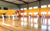 バランスのとり方や技を出すときのタイミングを学ぶための組手基本動作練習