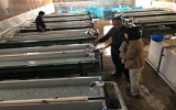 養殖場