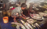 魚屋