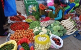 バザールの野菜売り
