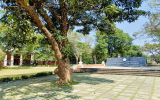大学正面