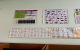 日本語教室の掲示物