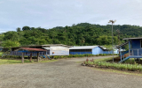 学校全景