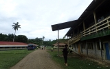 学校全景