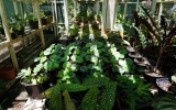 Nursery