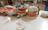 同僚の製作物