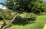 配属先庭園