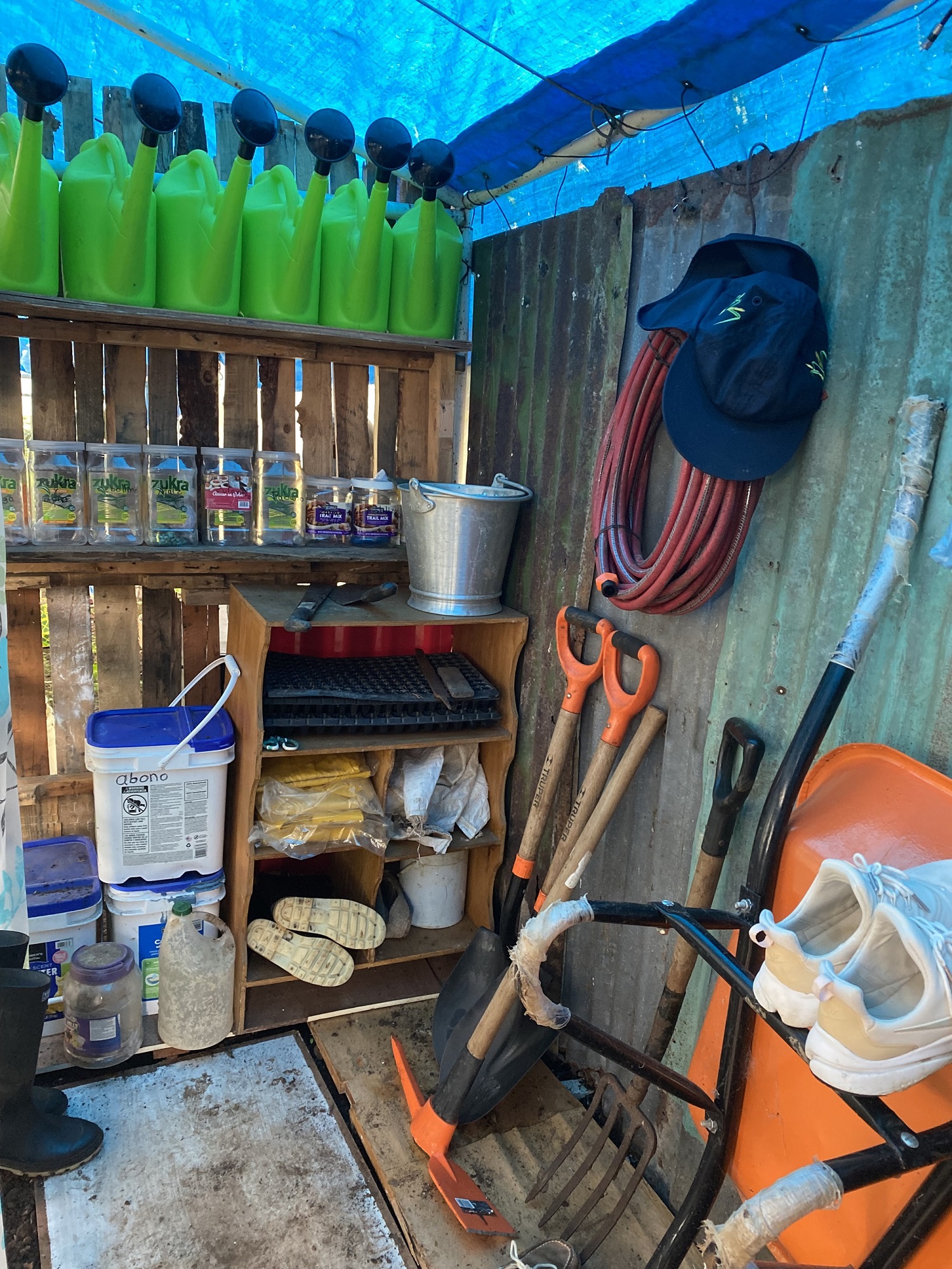 要望調査票|【一般案件】|JICA海外協力隊