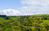 風力発電機と自然