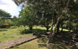 配属先がある公園内