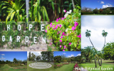 Hope Botanical Garden①