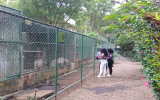 動物園展示エリア