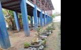 4.学校菜園