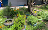 学校菜園