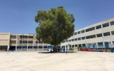 学校校庭