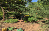 Nursery