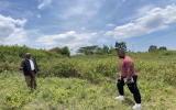 Tree Planting