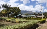 学校校舎