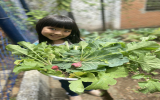 環境教育