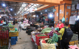 卸売市場の内部②